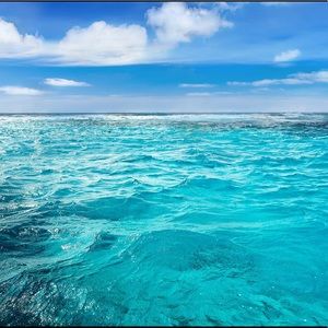 Meet your Posher, Ana